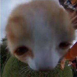 Meet your Posher, Luna